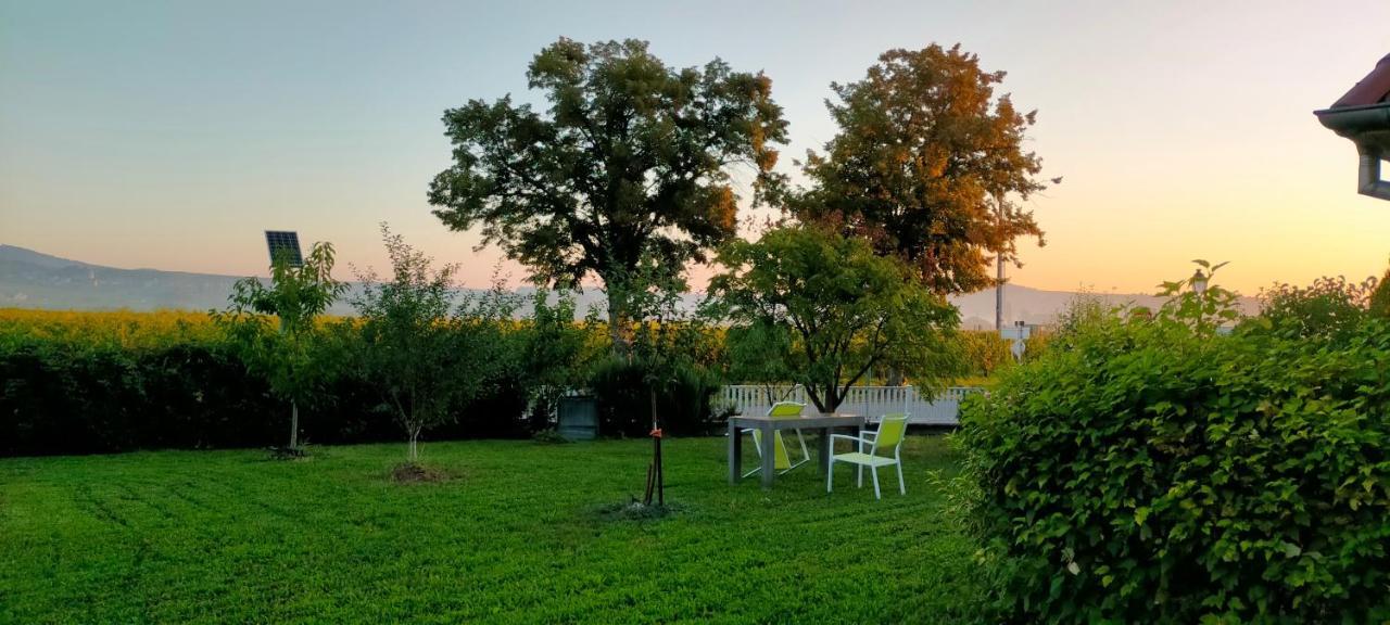 Apartmán Le Clos Des Vignes Blienschwiller Exteriér fotografie