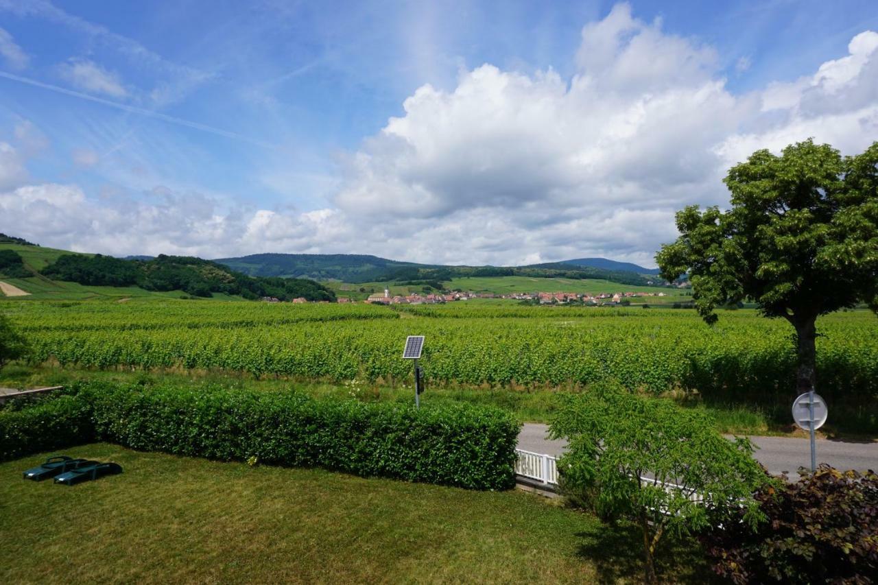 Apartmán Le Clos Des Vignes Blienschwiller Exteriér fotografie